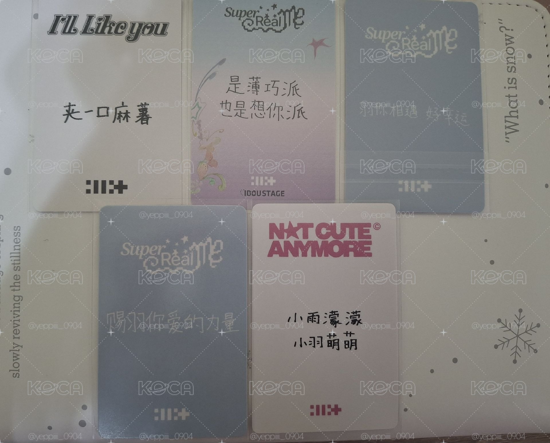 羽中背小盤