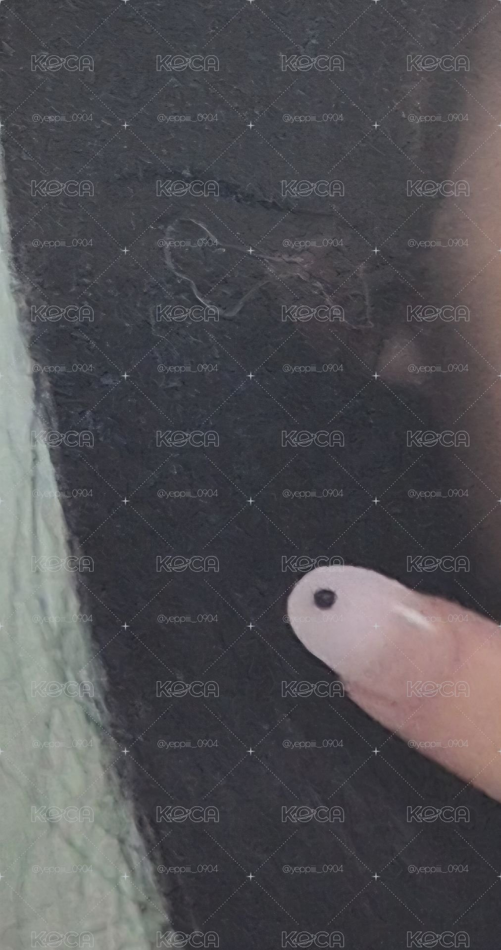 羽中背小盤