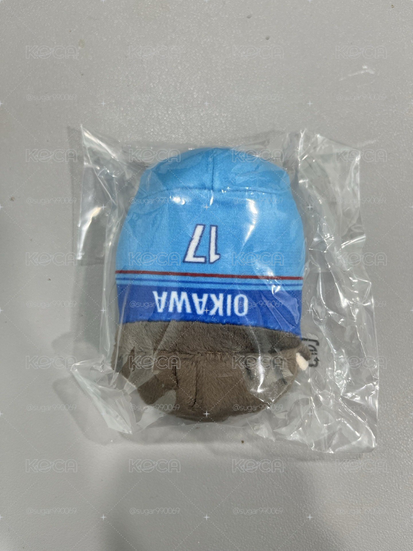 排球少年十週年趴娃 及川徹