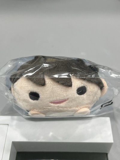 排球少年十週年趴娃 及川徹