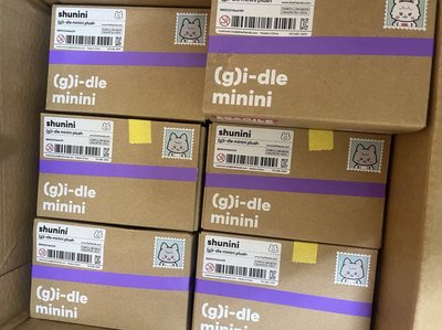 idle 迷七快閃盒娃 全新未拆 含卡