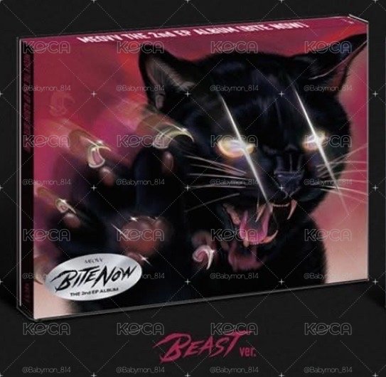 BEAST版未拆專