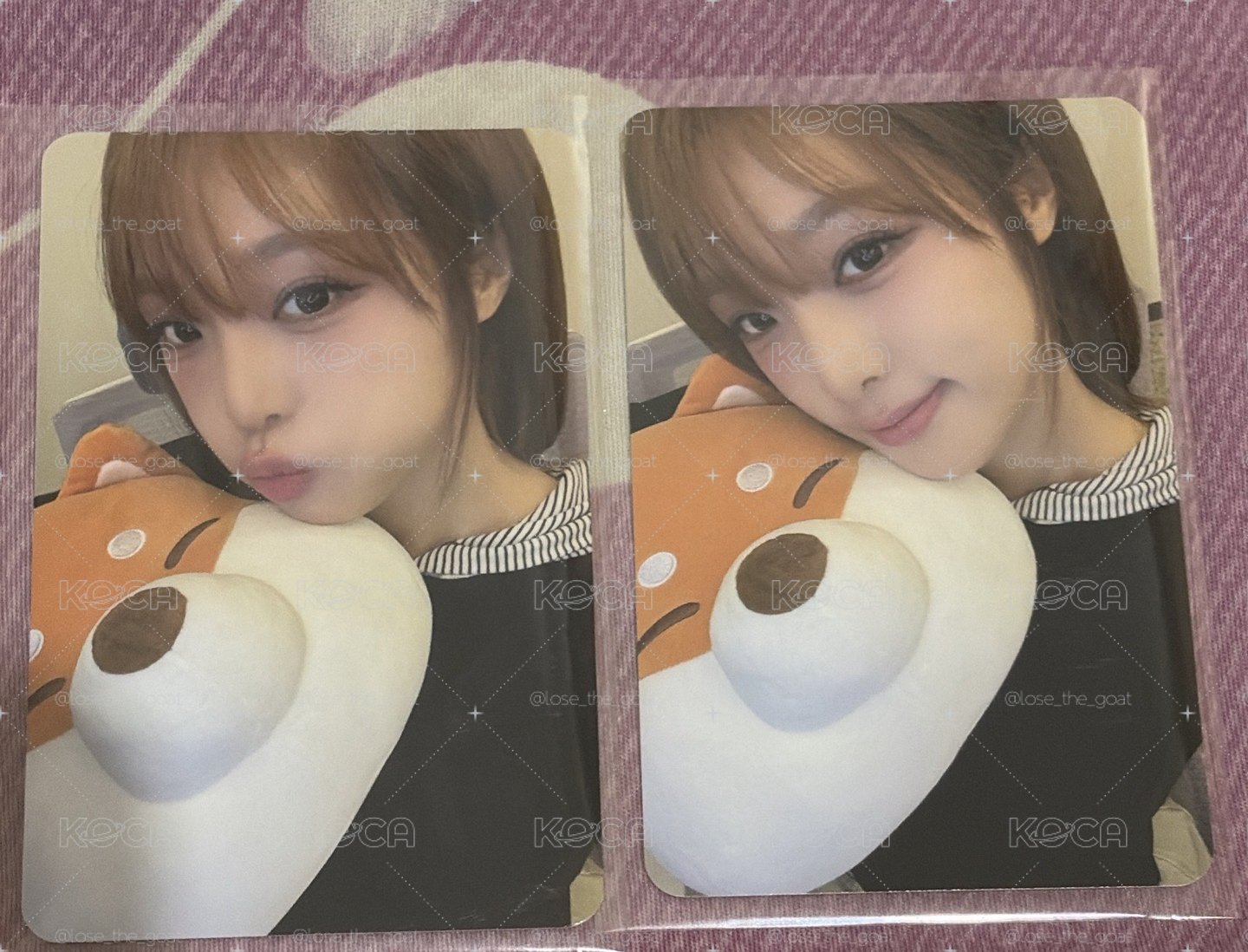 Yena 柴犬卡 