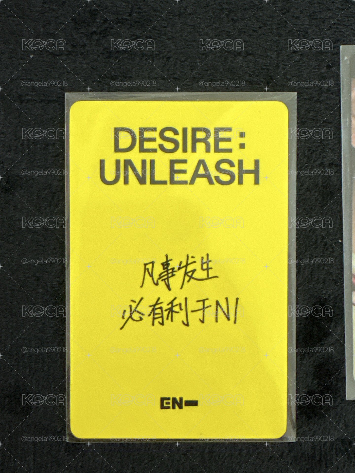 中背村和袋鼠寸寸