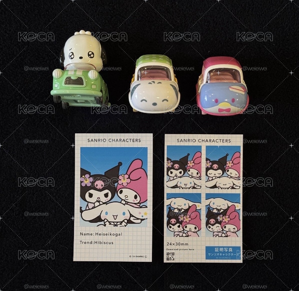 三麗鷗 TOMICA 證件照