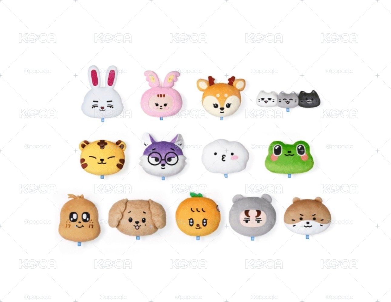 #代購 中國快閃抱枕 漢秀俊榮圓勳八碩寛率燦