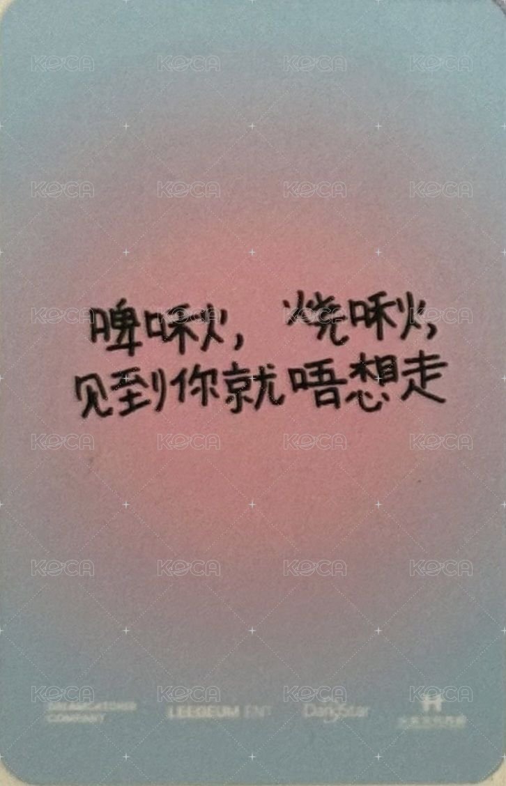 星動祉約 卡包 隨機卡  背面
