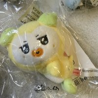 琦
