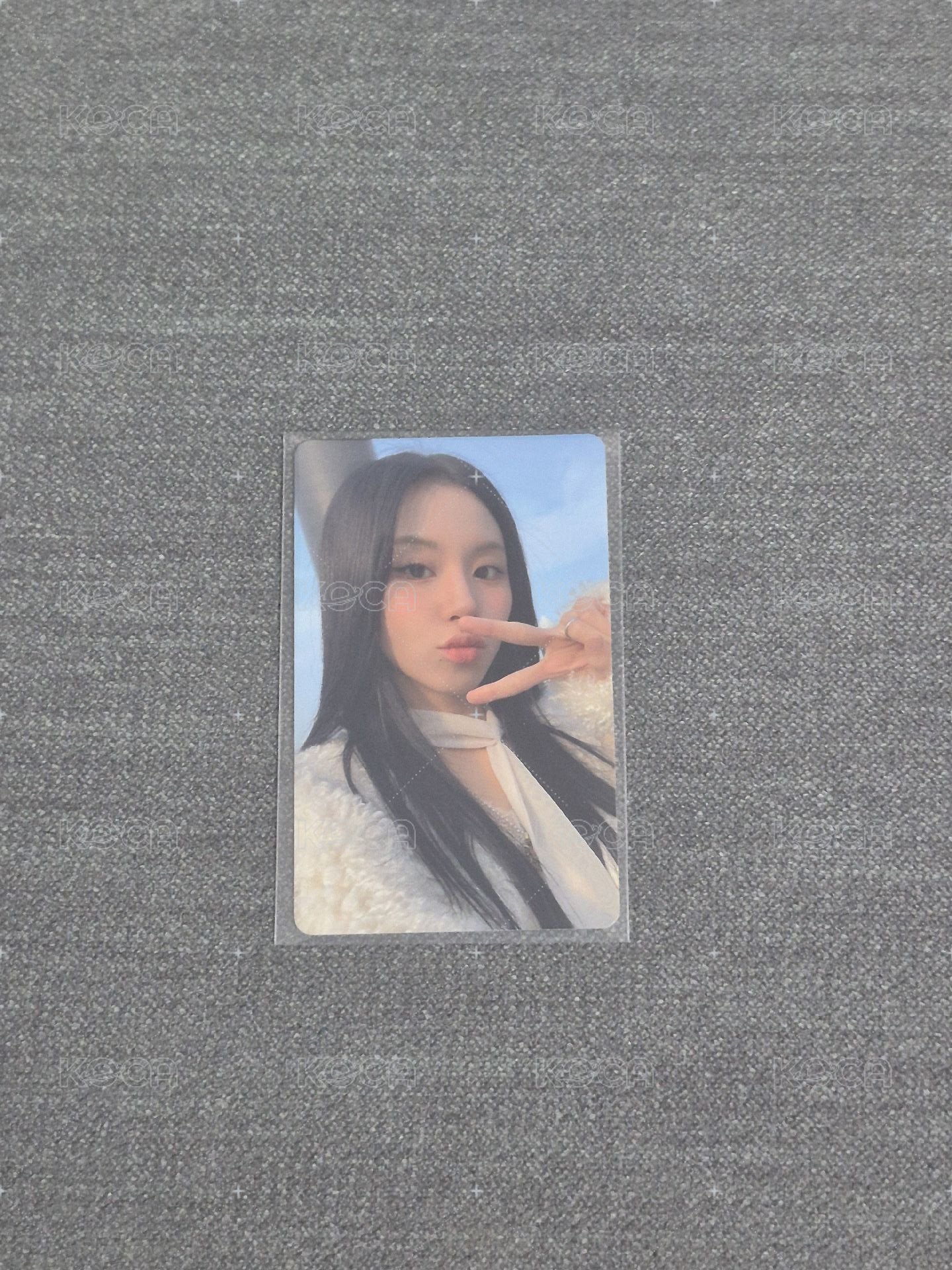 迷13 jyp特典