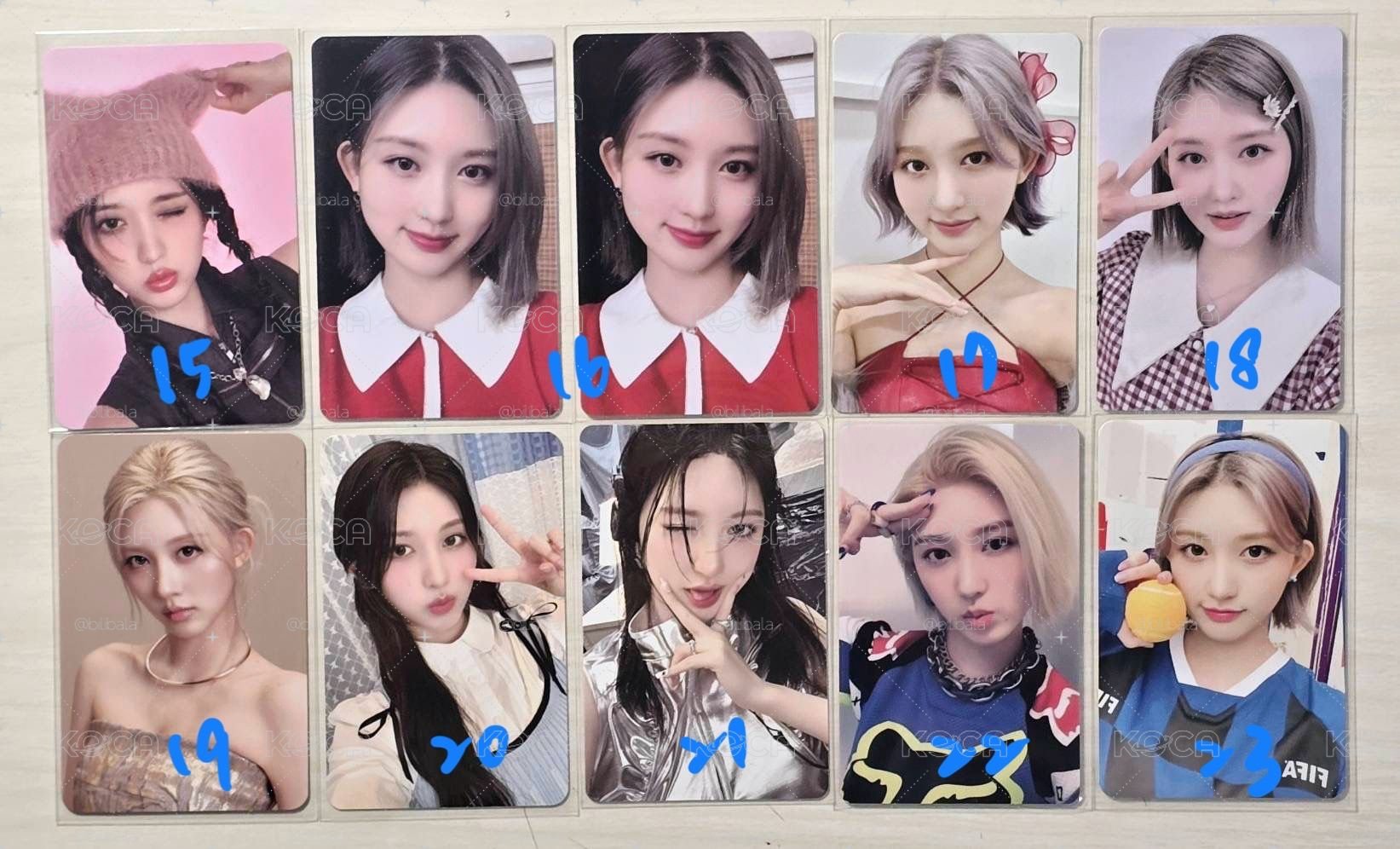 🐿️秋卡