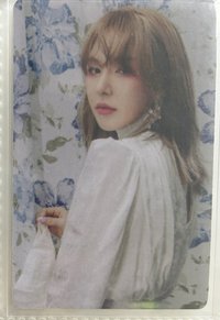 wolo1 花牆
