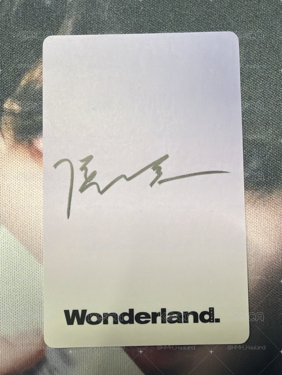 侯明昊Wonderland. 雜誌小卡
