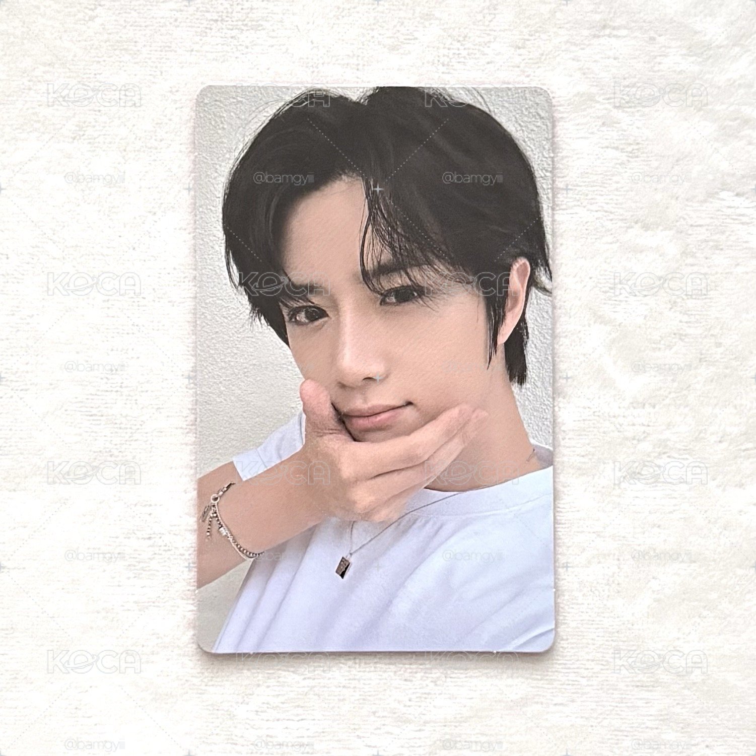 LL wvs圭