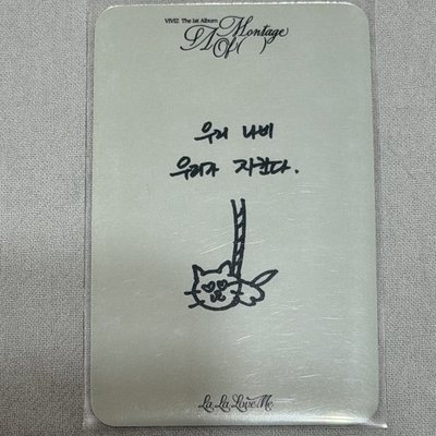 VIVIZ 信飛 音放卡 小卡