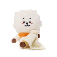BT21 娃娃玩偶 夢境 RJ