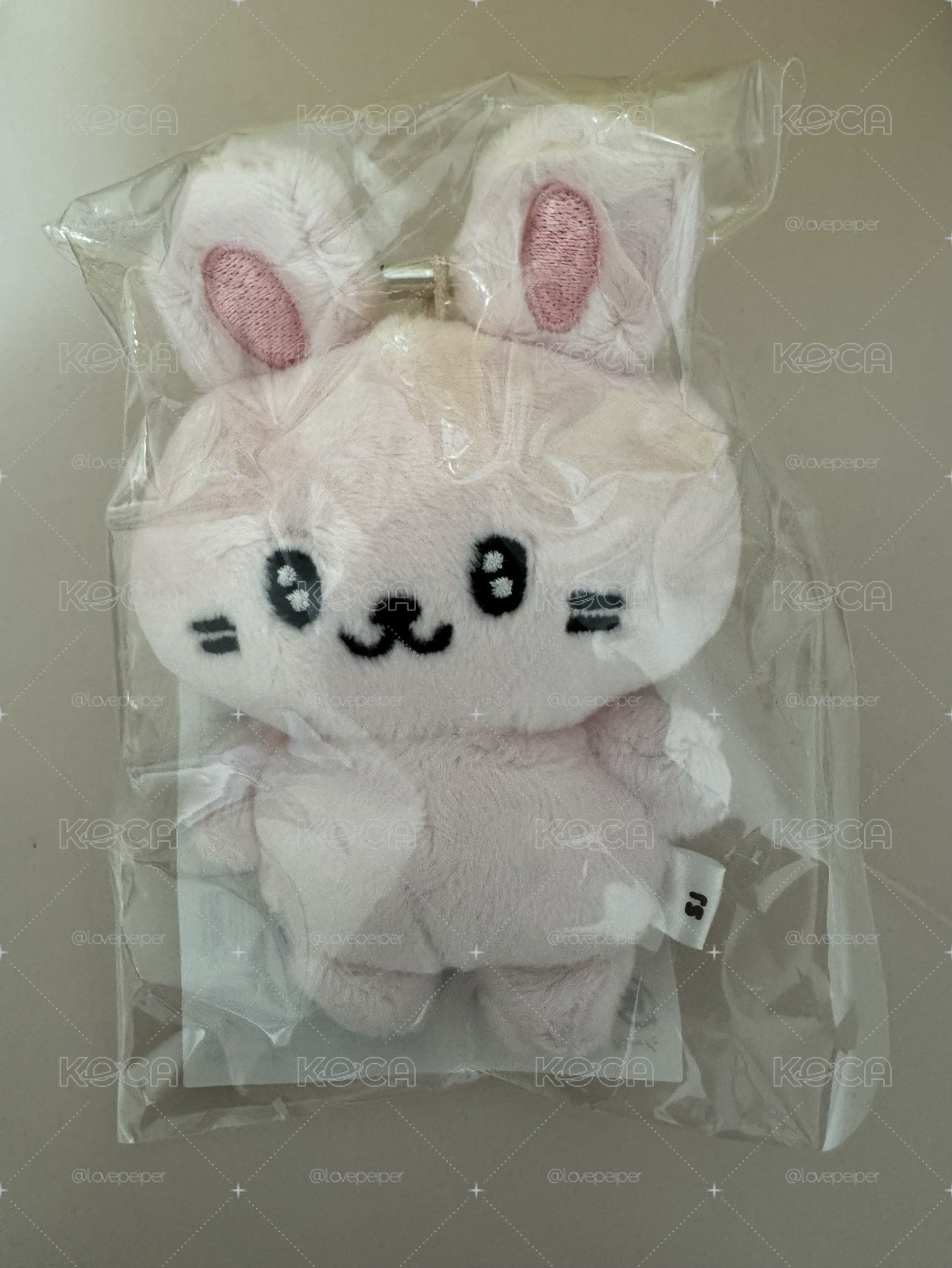 SJ SS10 日周 日巡 動物娃 銀赫 赫宰 赫兔