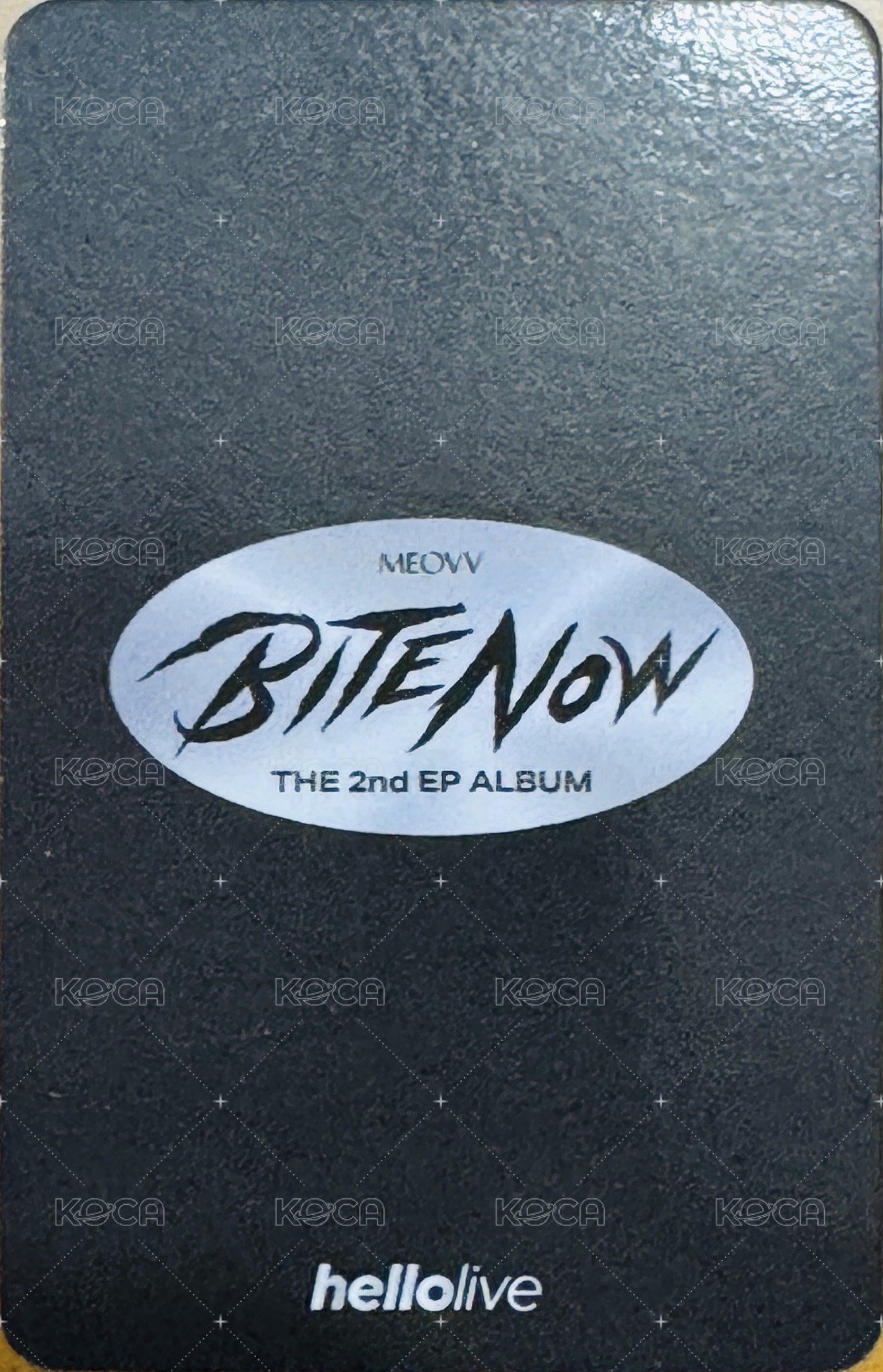 BITE NOW hl PHOTOBOOK ver. 特典卡  背面