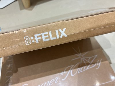 SKZ DICON 雜誌 FELIX 全新未拆封 A B版都有
