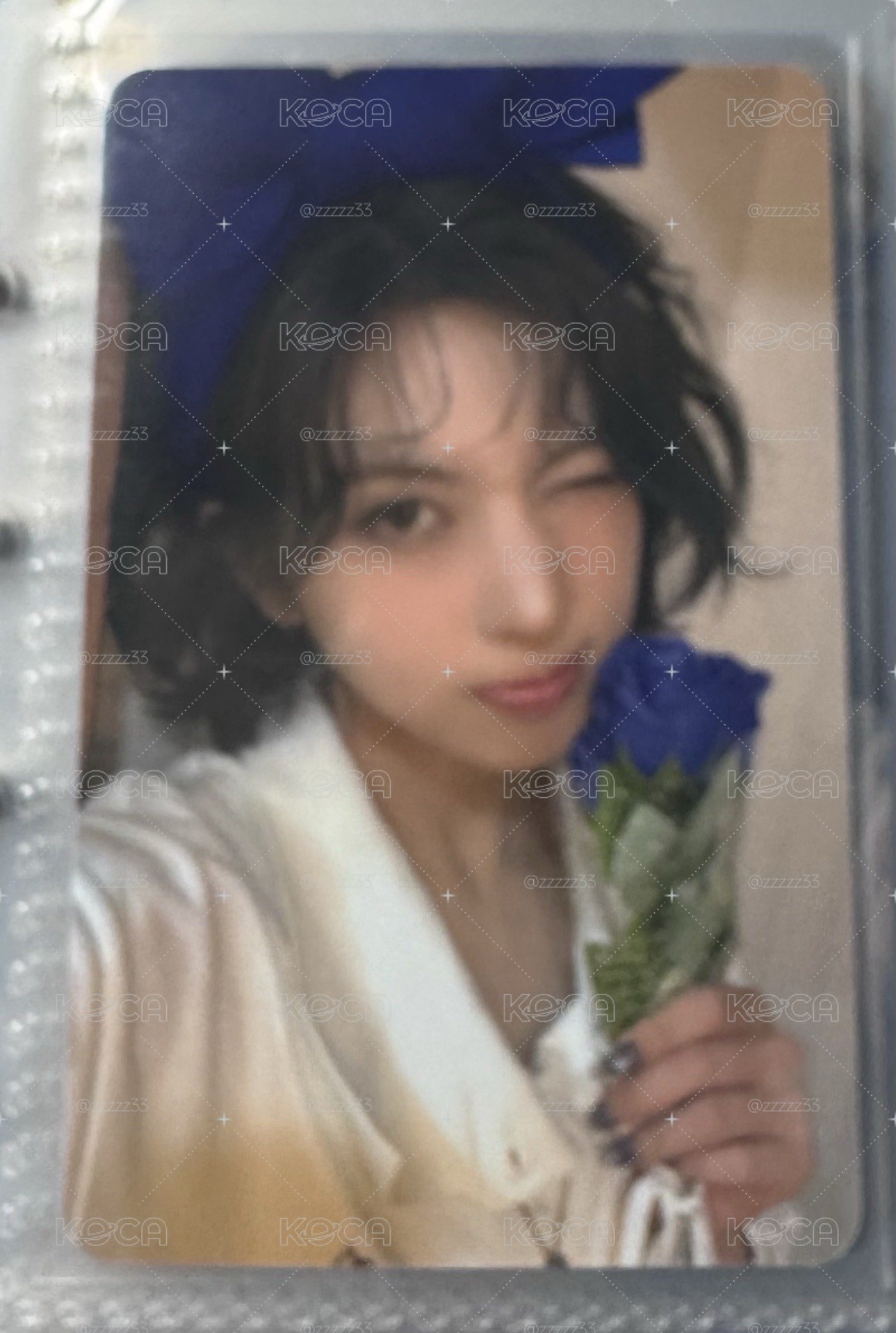 藍玫瑰 裴