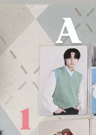 A1