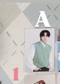 A1