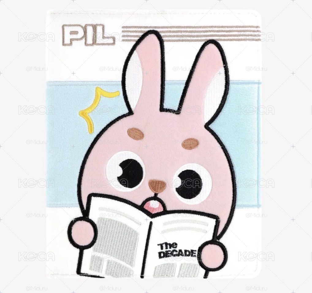 DAY6 🐰日周 卡冊