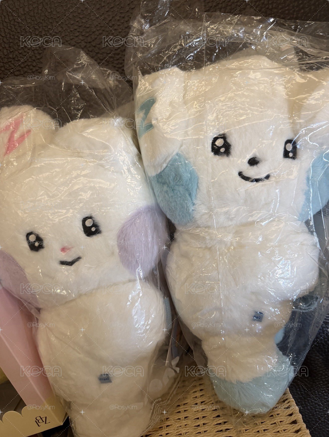 奎背包全新未拆✨