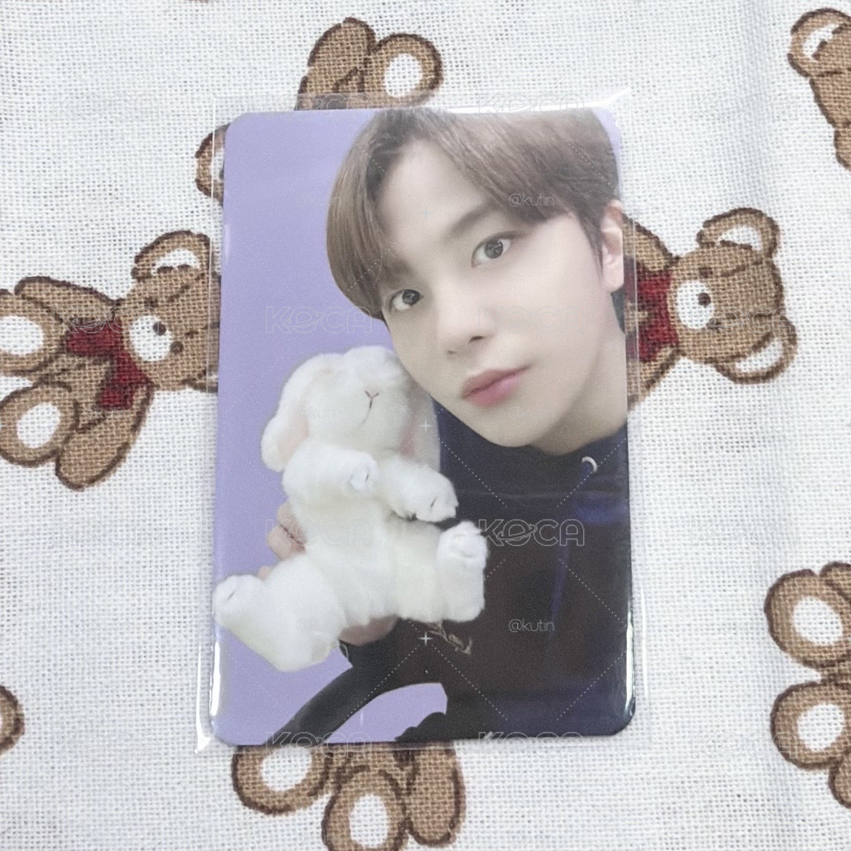 兔兔🐻