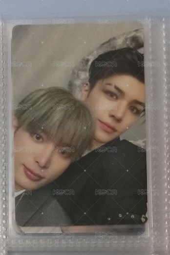 🐰🐶