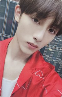 2023大隊 專輯卡 