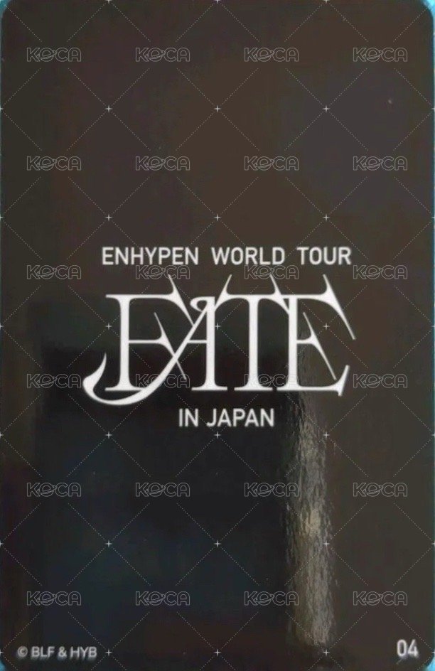 FATE世巡 日巡 隨機卡 04 背面