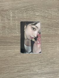 庫柏力克熊卡