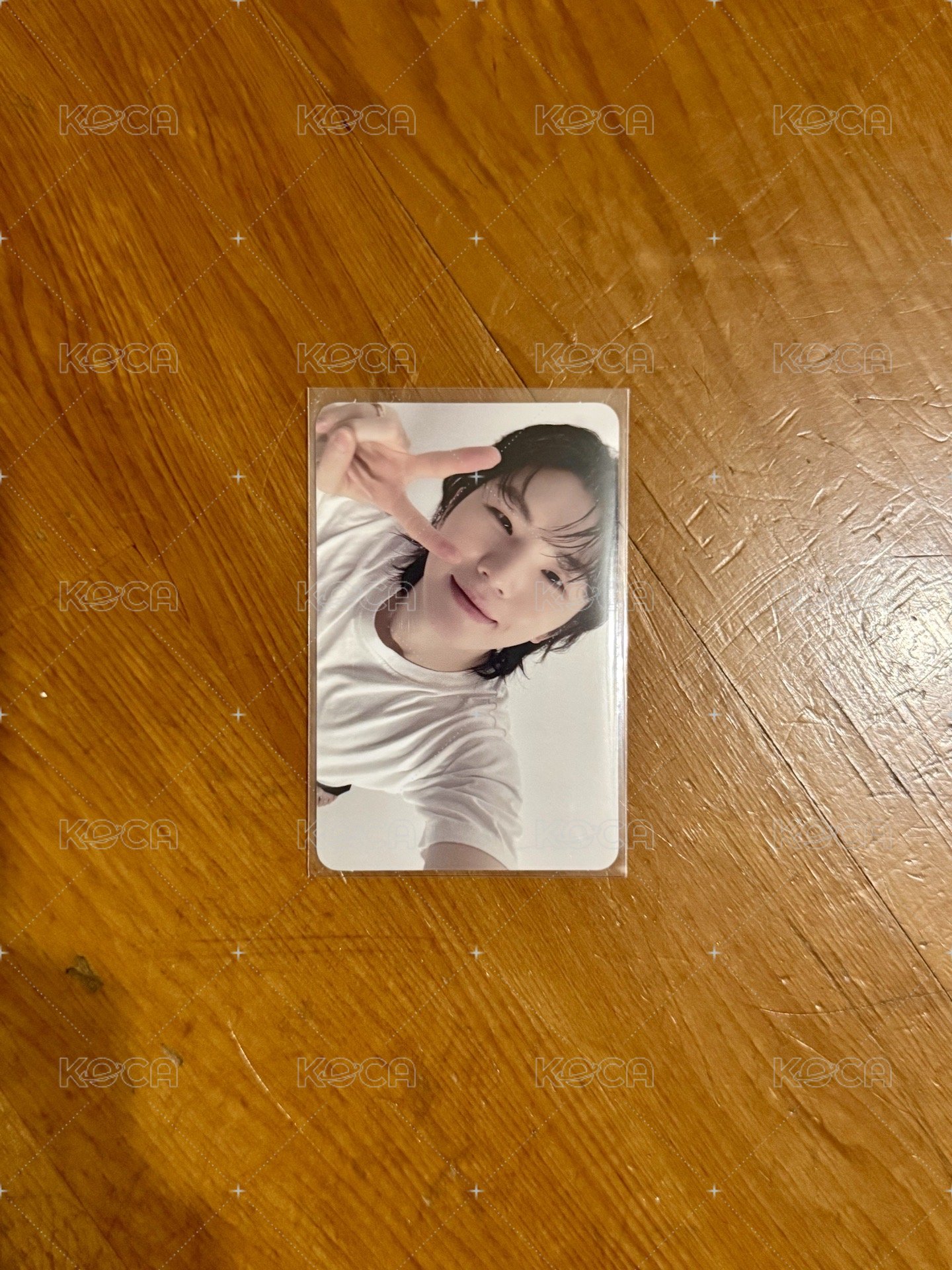 精選專 CARAT ver. 專輯卡2