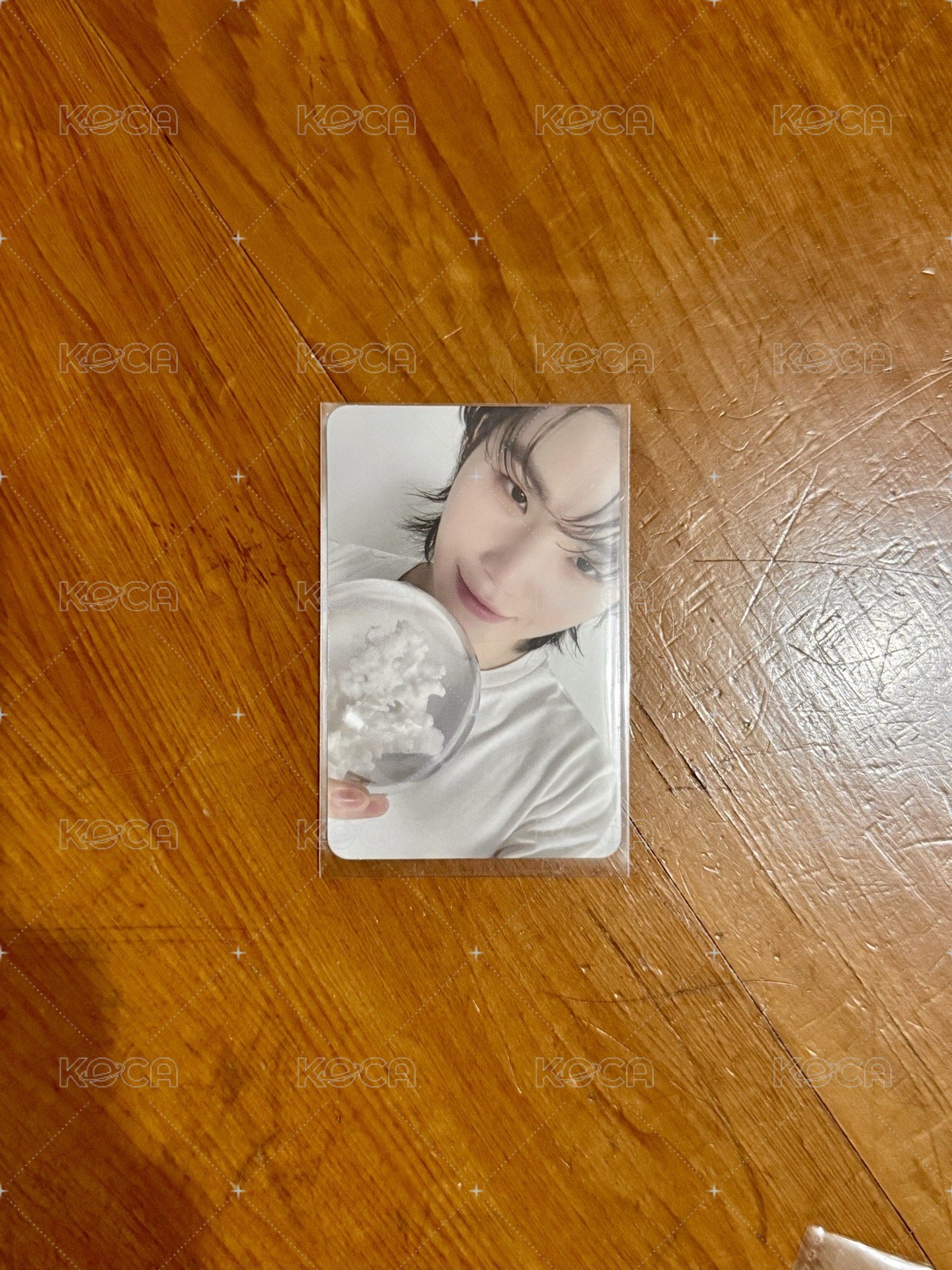 精選專 CARAT ver. 專輯卡3