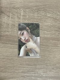 迷13 專卡