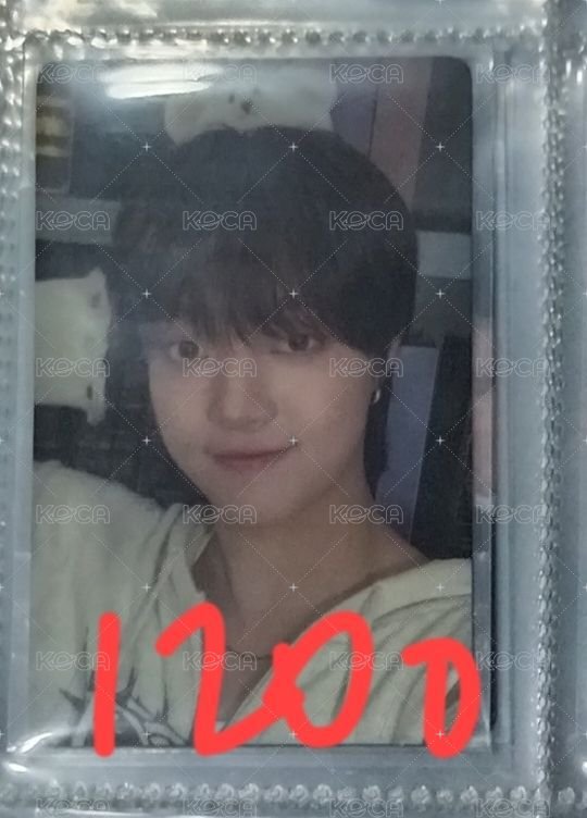 🍊m2小熊