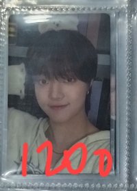 🍊m2小熊
