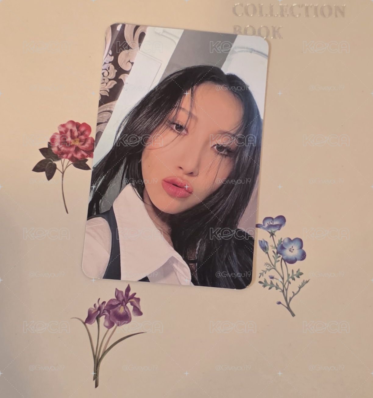 五期官方木木會員禮 華莎小卡
