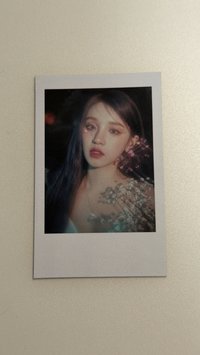 琦專卡
