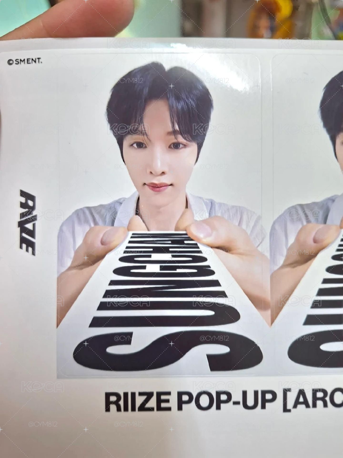 「代掛」成燦買單卡貼 無晶片洞版
