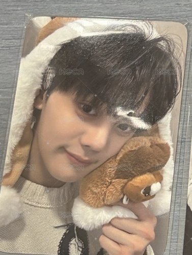 小熊