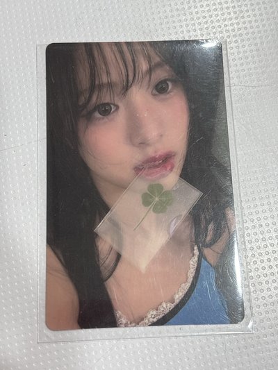 幸運草賢 需綁圖二