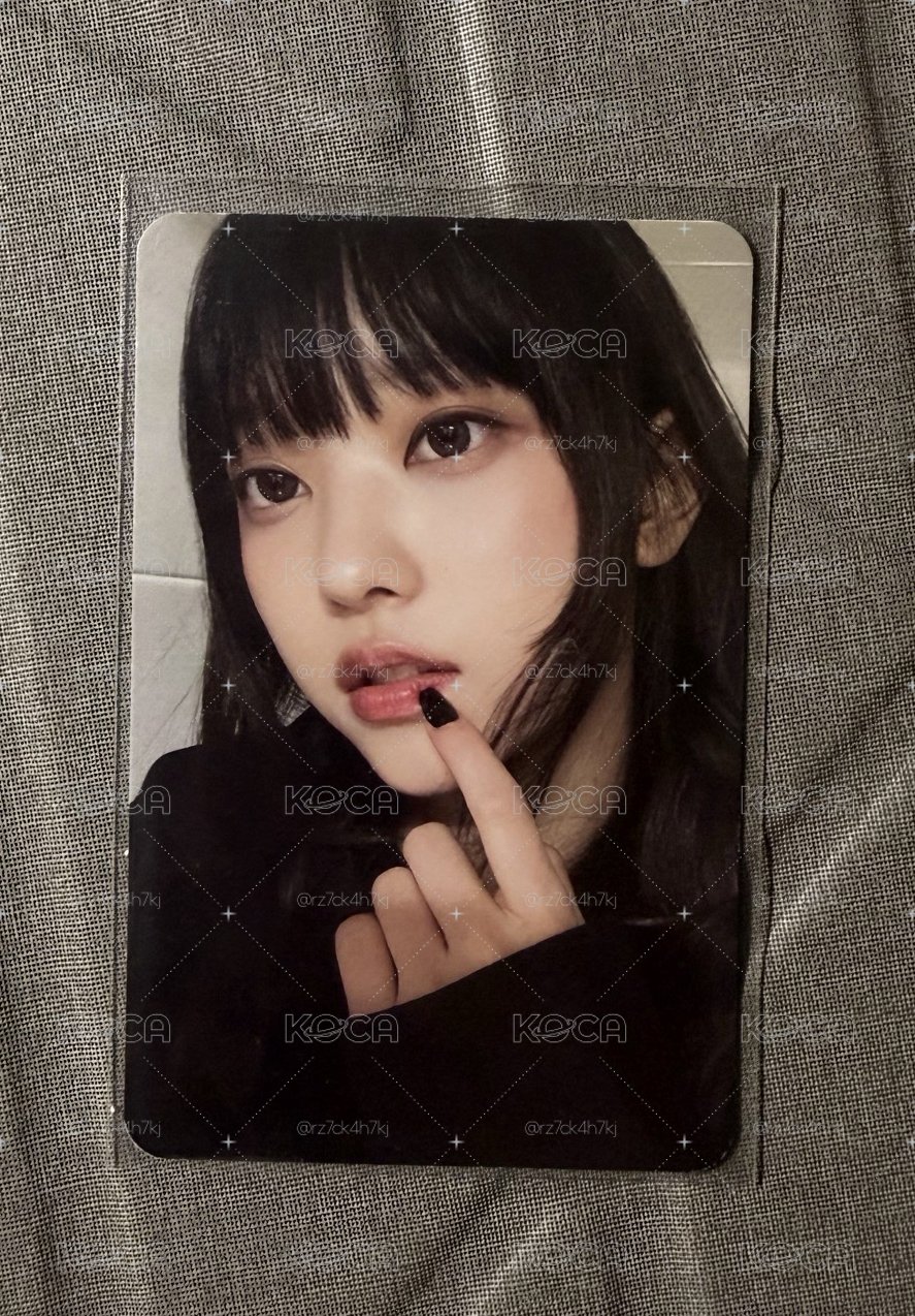 魔女貓