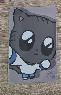 水汪汪松喵