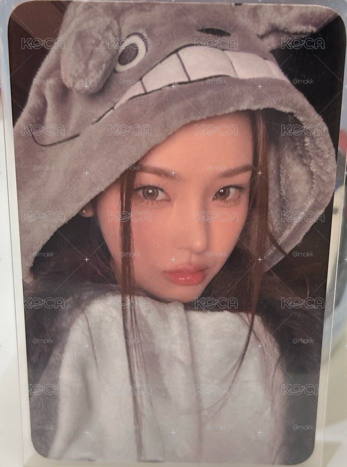 龍貓麥