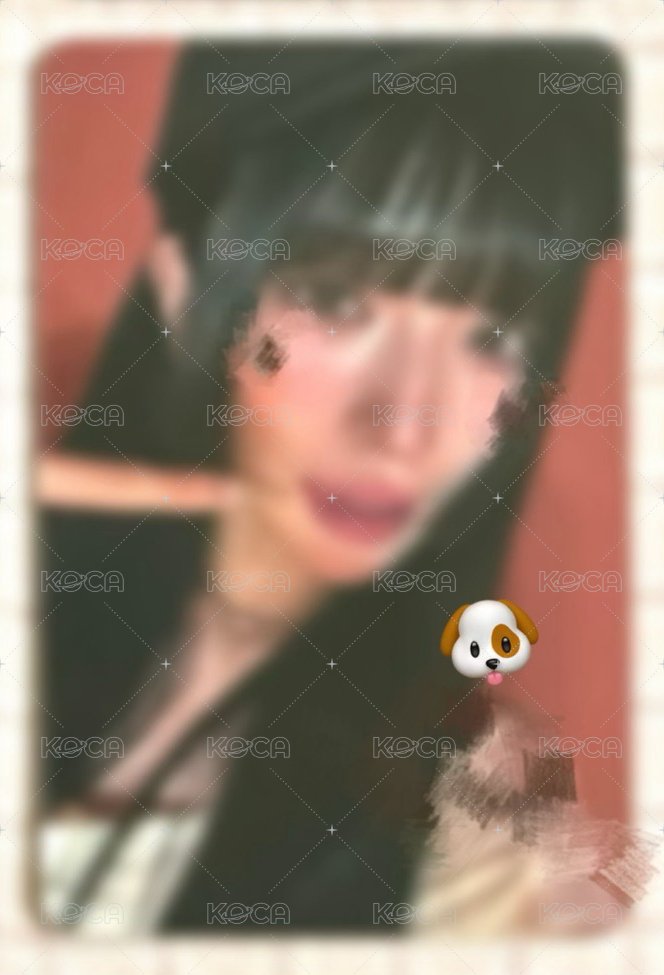 Haruna（畫烏龜+其他