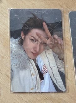 白毛狗狗