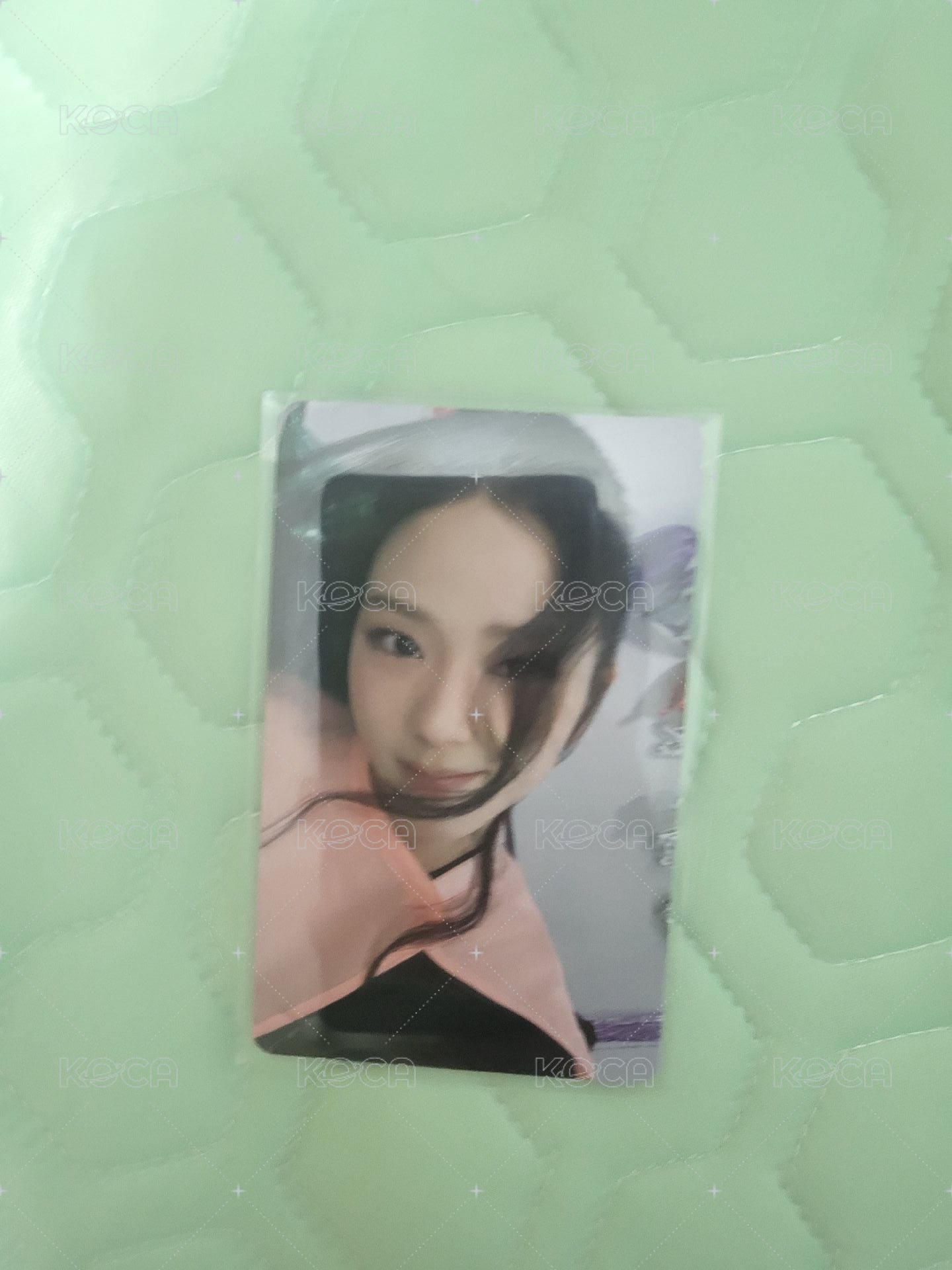 wvs簽售秀