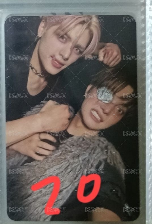 🍊🐶