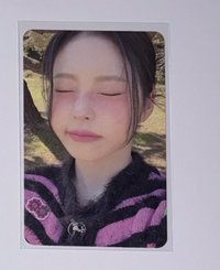LMTL圭